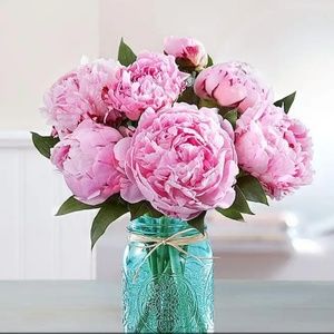 Meet your Posher, Yuriana